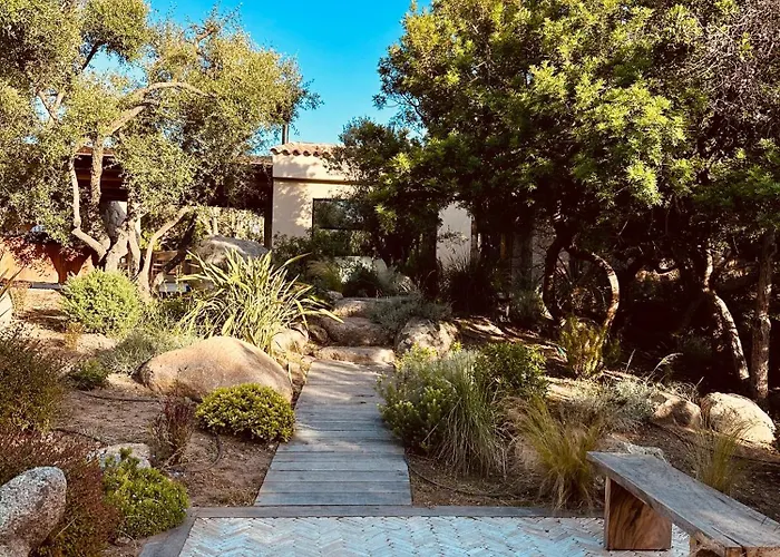 Villa Mamma Avec Piscine Privee Et Plage A Pied Privilegiee A 200M ヴィラ