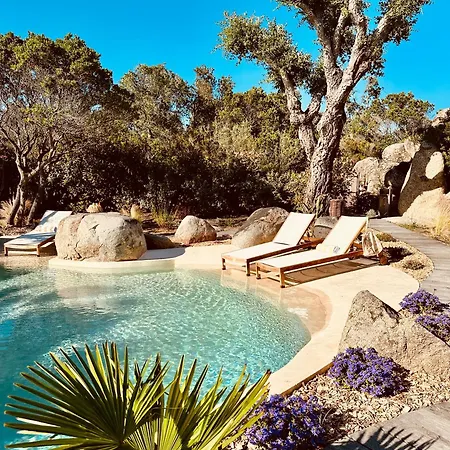 Mamma Avec Piscine Privee Et A Pied Privilegiee A 200m * Zonza